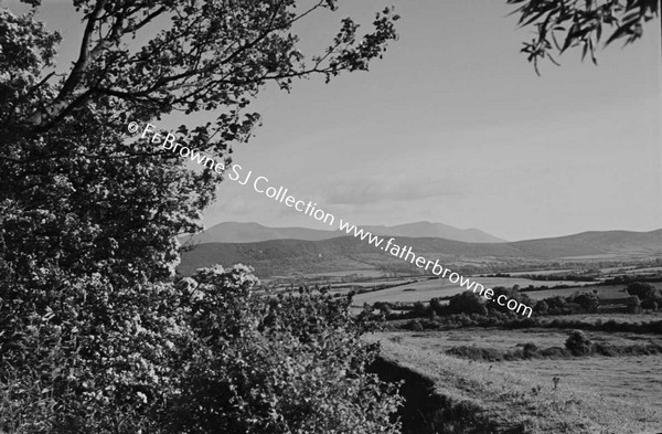 GALTEES FROM TIPPERARY